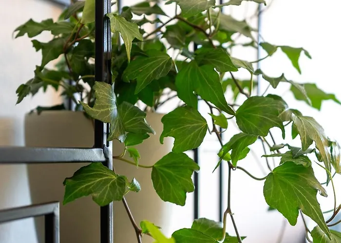 Rola Art Work Ii By Da'home * Πόρτο